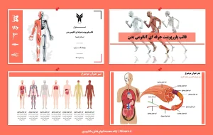 قالب پاورپوینت آناتومی بدن انسان
