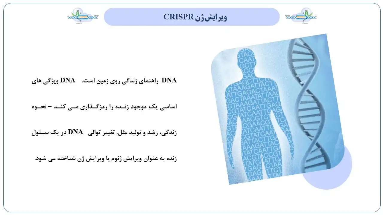 پاورپوینت تکنولوژی کریسپر CRISPR