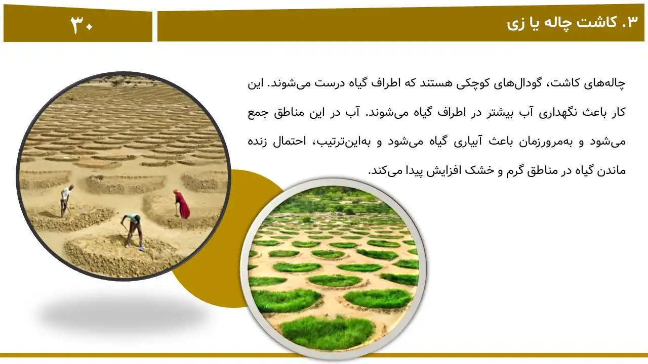 پاورپوینت بیابان زدایی