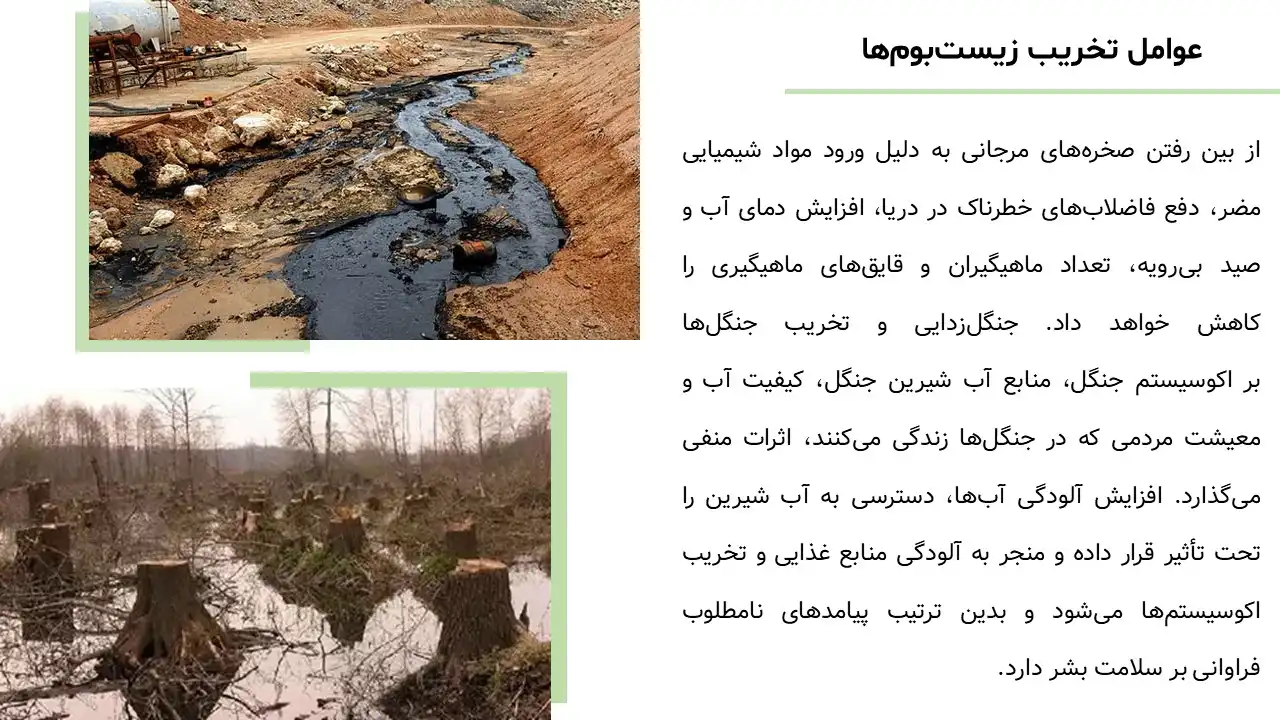 پاورپوینت محیط زیست