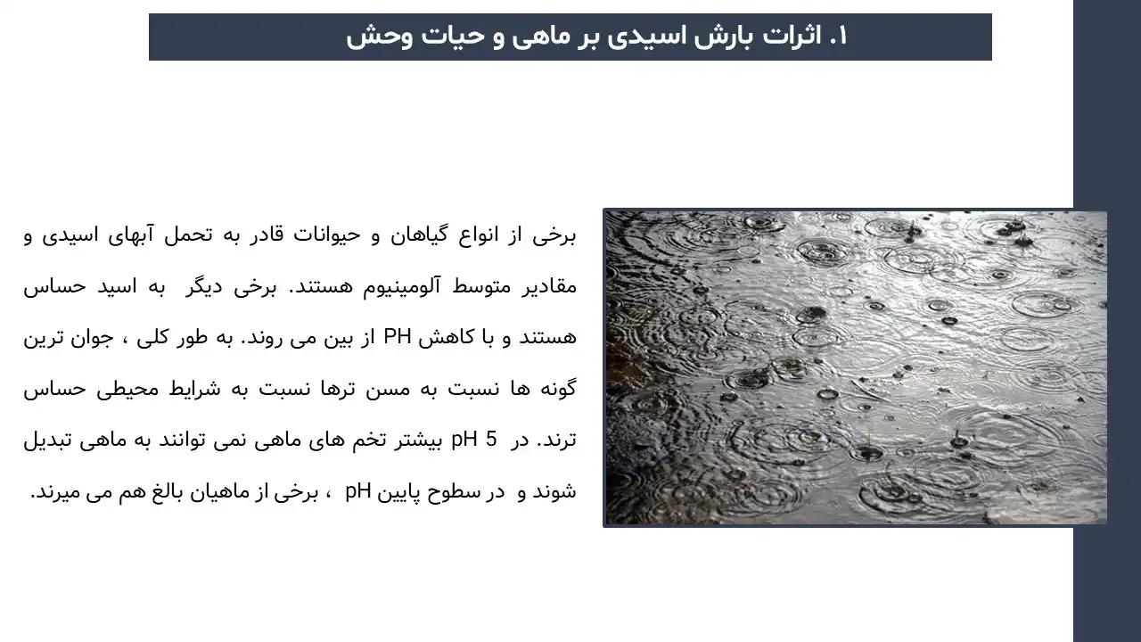 پاورپوینت باران اسیدی