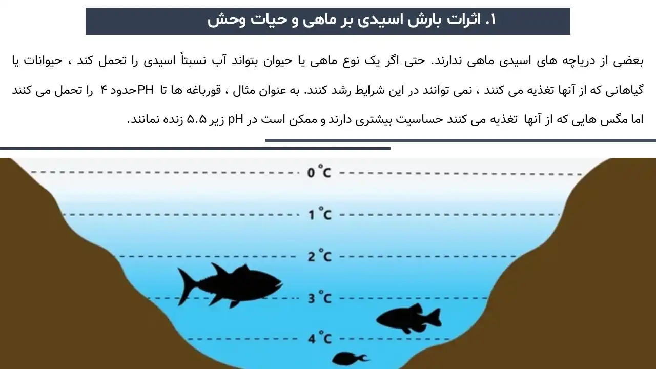 پاورپوینت باران اسیدی