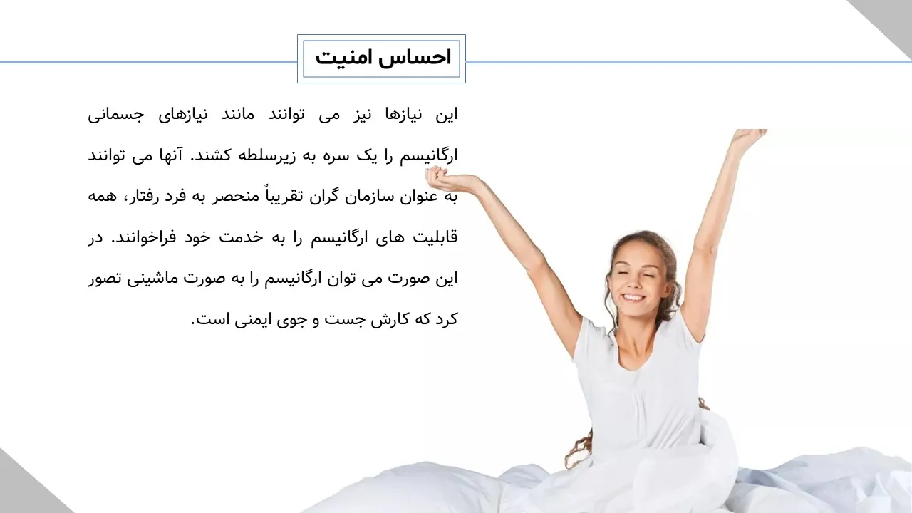 پاورپوینت امنیت روانی