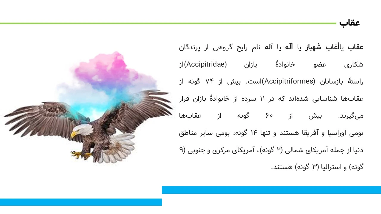 پاورپوینت زندگی عقاب ها
