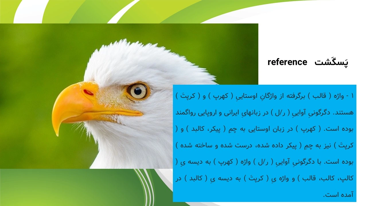پاورپوینت زندگی عقاب ها