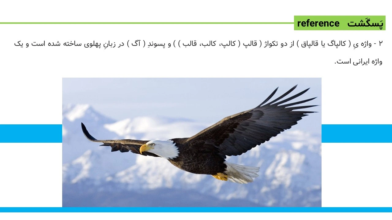 پاورپوینت زندگی عقاب ها