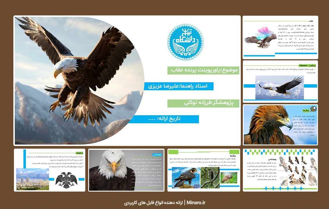 پاورپوینت زندگی عقاب ها