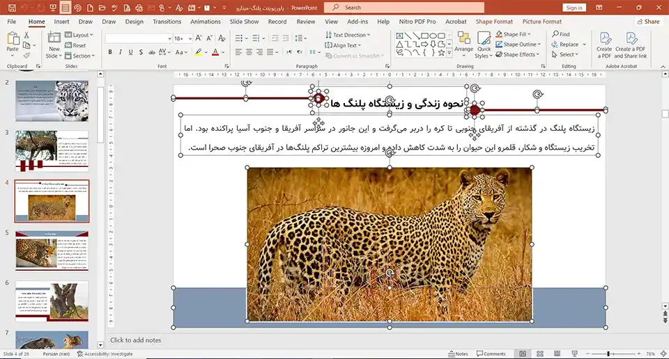 پاورپوینت پلنگ