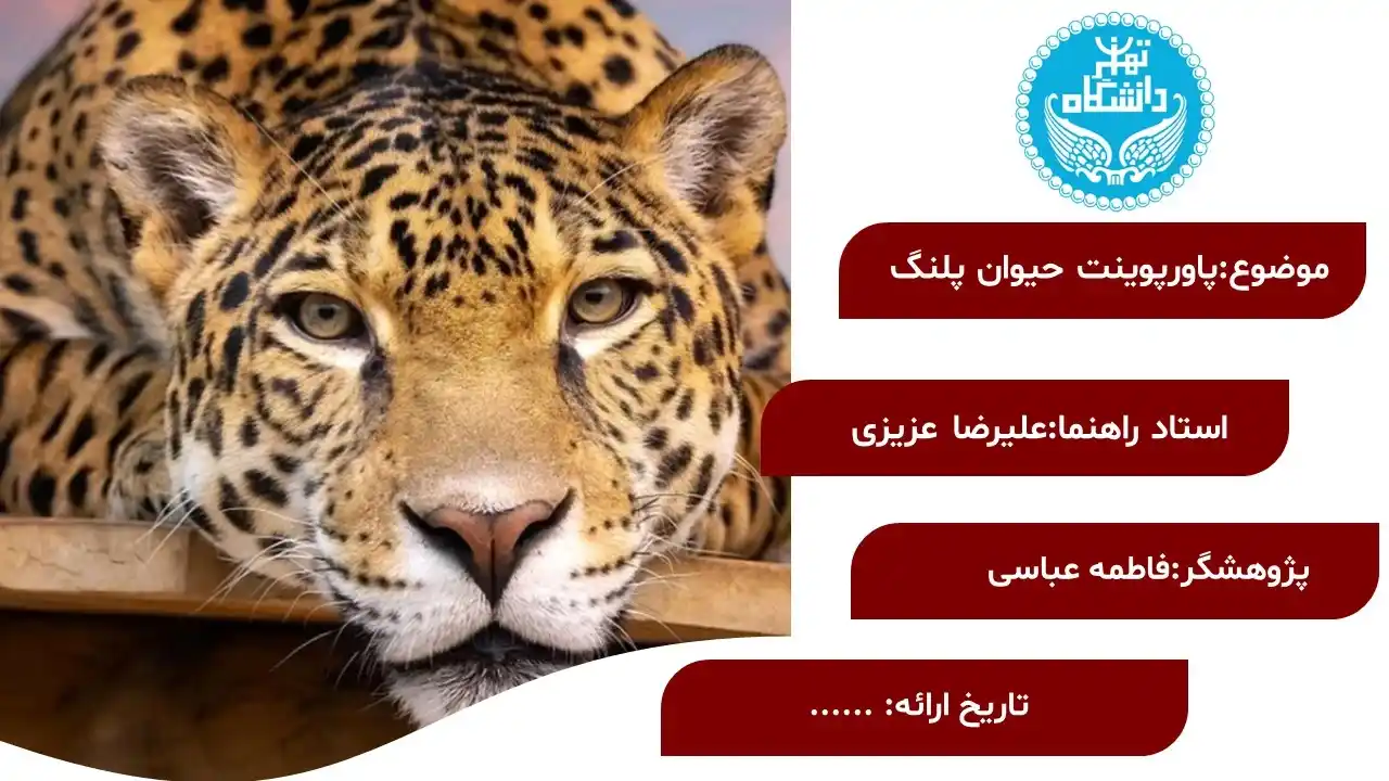 پاورپوینت پلنگ