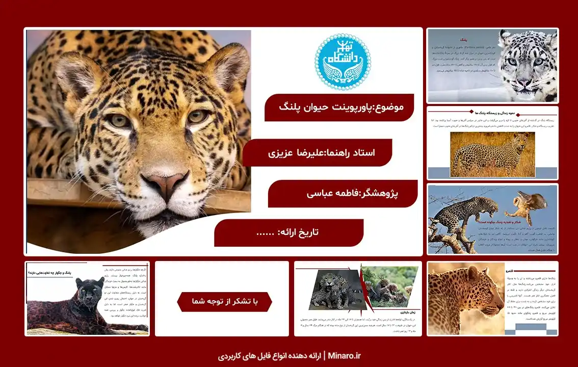 پاورپوینت پلنگ