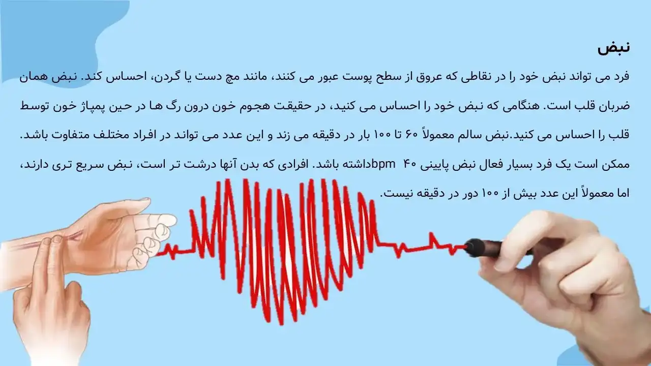 پاورپوینت قلب و عروق
