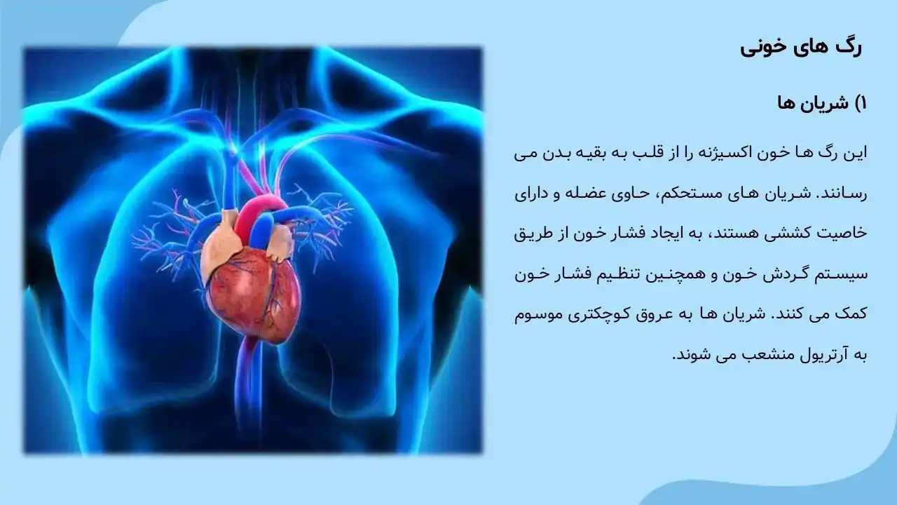 پاورپوینت قلب و عروق