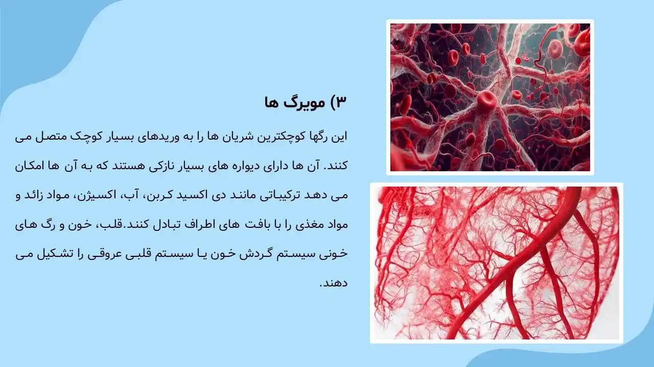 پاورپوینت قلب و عروق