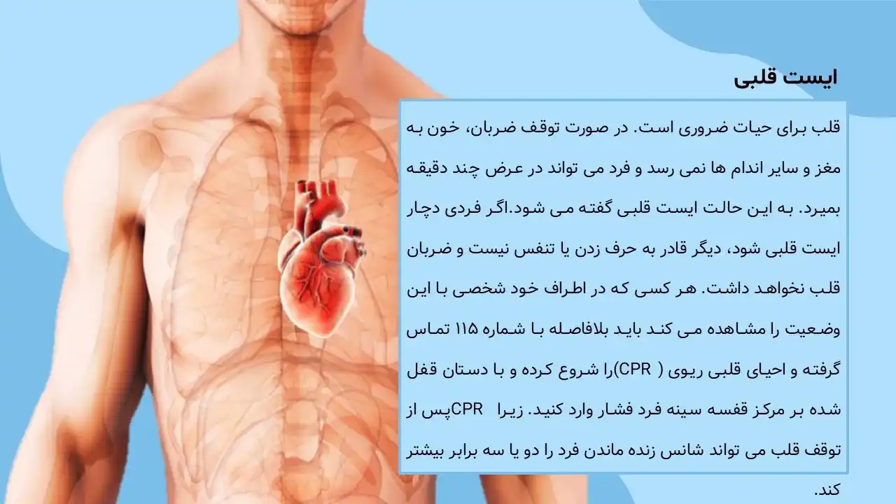 پاورپوینت قلب و عروق
