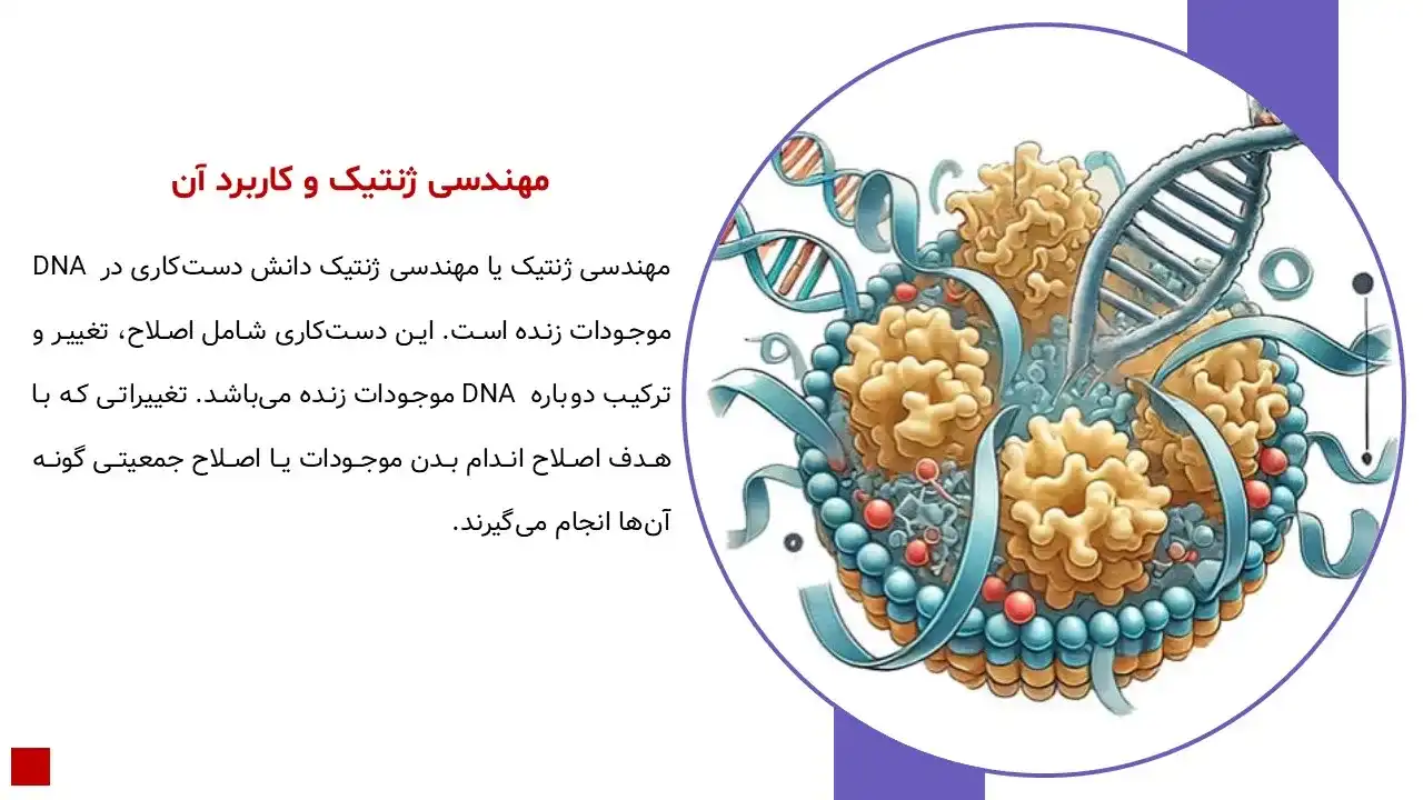 پاورپوینت مهندسی ژنتیک و کاربردهای آن