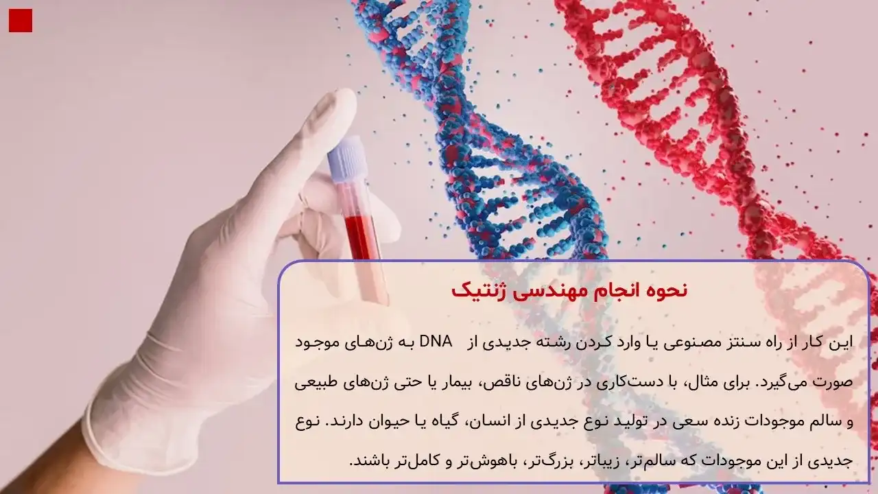 پاورپوینت مهندسی ژنتیک و کاربردهای آن