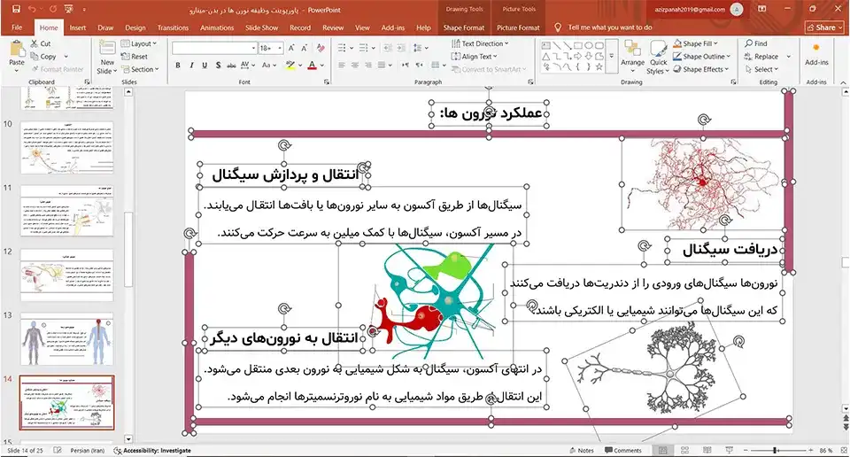 پاورپوینت وظیفه نورن ها در بدن