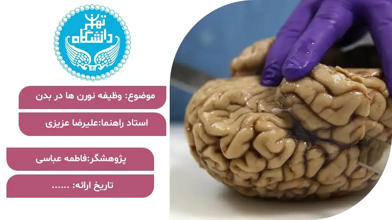 پاورپوینت وظیفه نورن ها در بدن