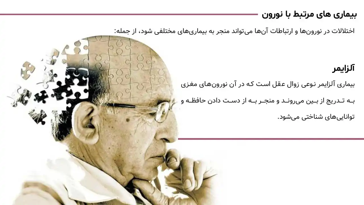 پاورپوینت وظیفه نورن ها در بدن