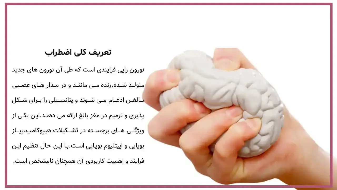 پاورپوینت وظیفه نورن ها در بدن