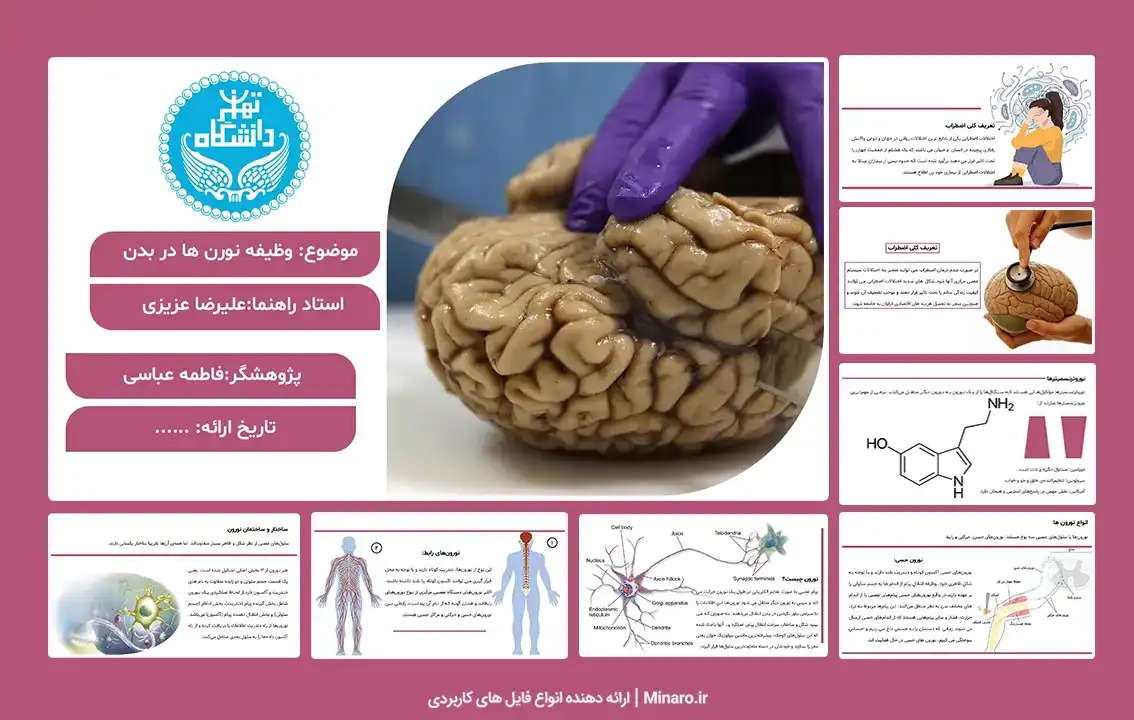 پاورپوینت وظیفه نورن ها در بدن