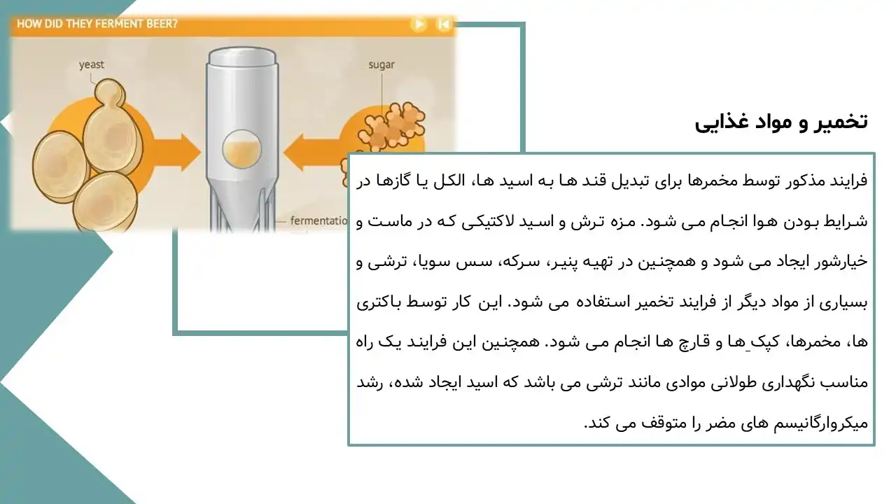 پاورپوینت تخمیر چیست؟