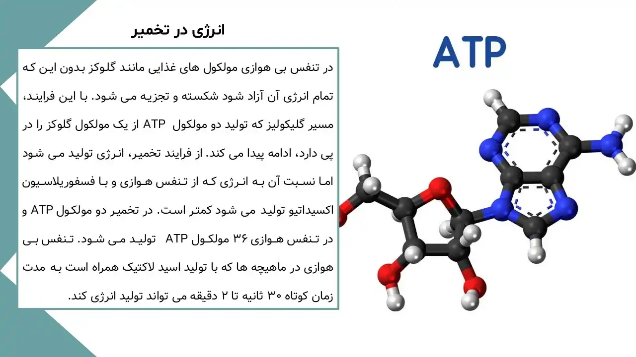 پاورپوینت تخمیر چیست؟