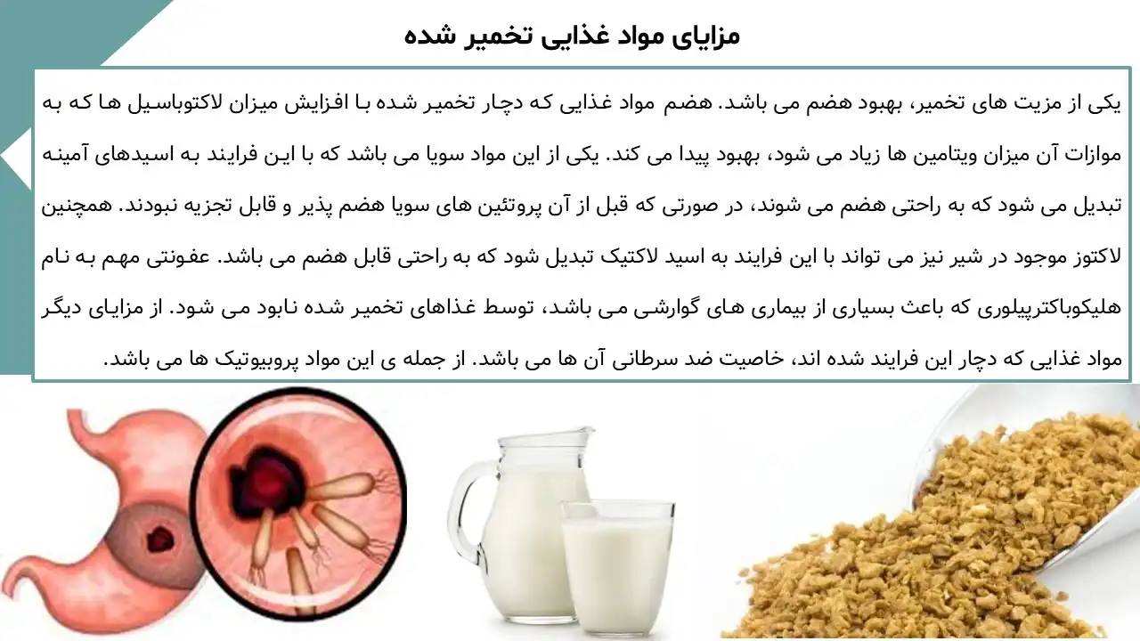 پاورپوینت تخمیر چیست؟