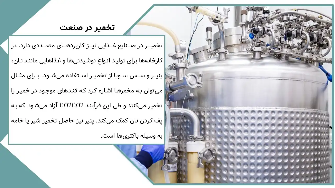 پاورپوینت تخمیر چیست؟