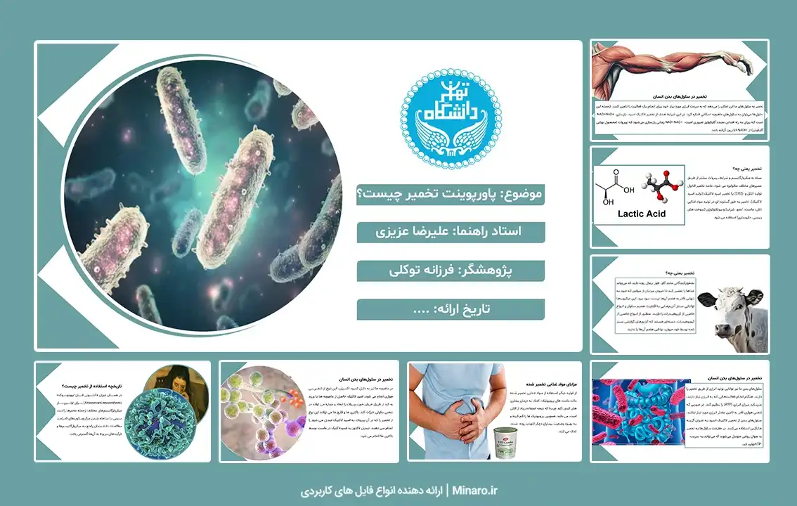 پاورپوینت تخمیر چیست؟