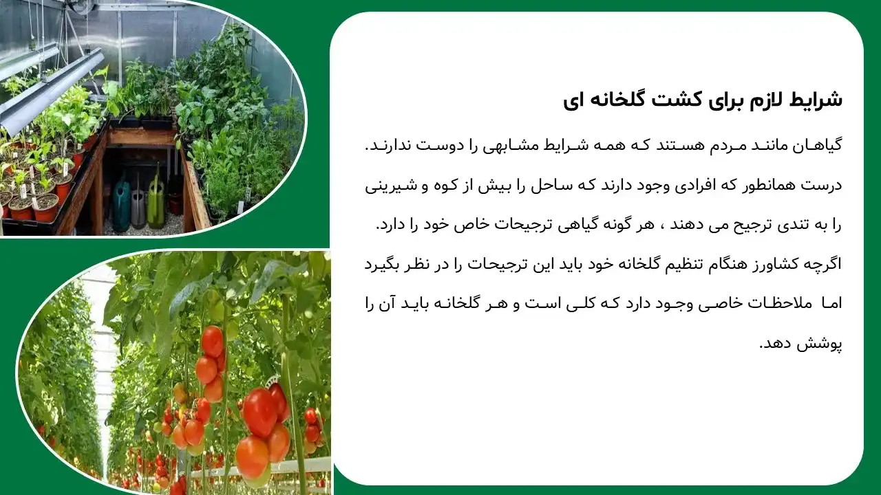 پاورپوینت کشت گلخانه ای