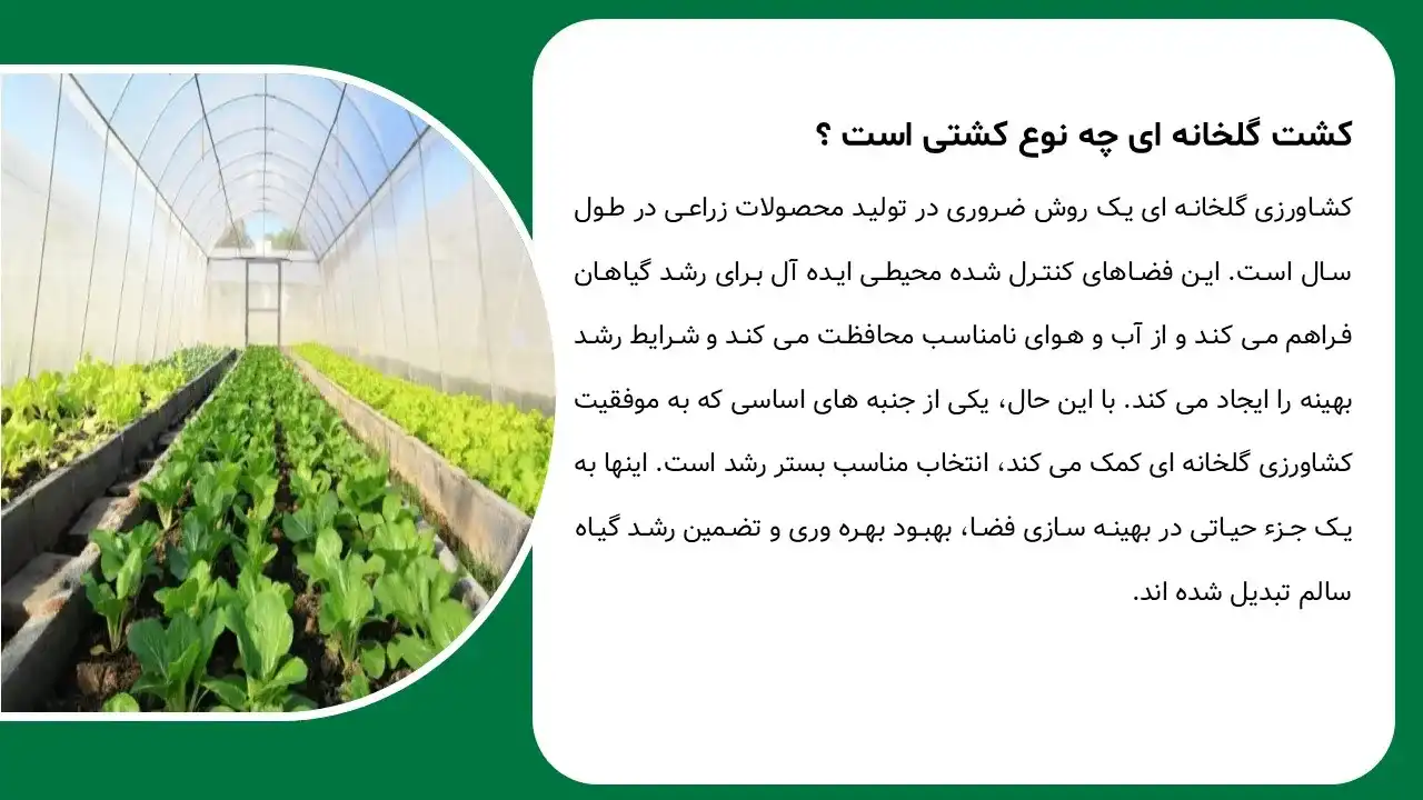 پاورپوینت کشت گلخانه ای