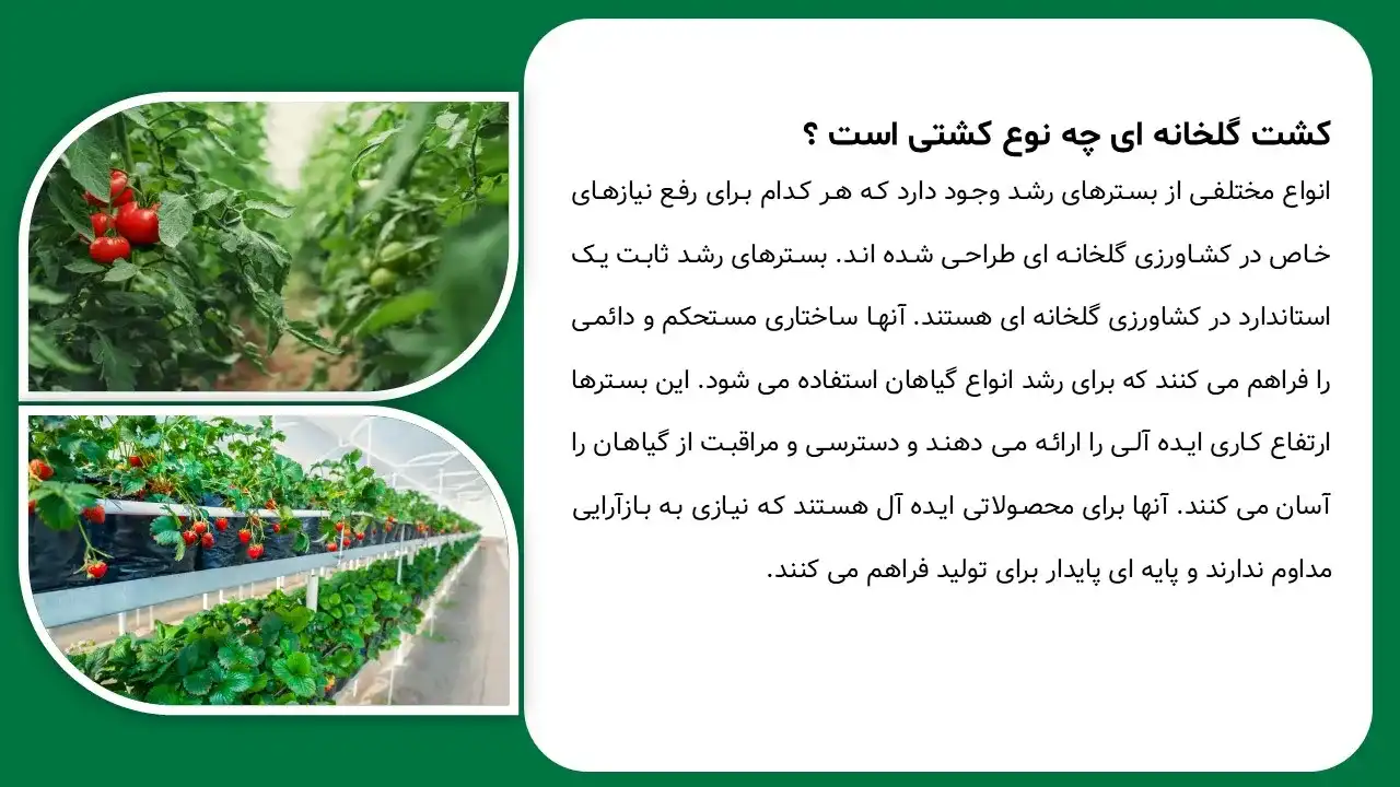 پاورپوینت کشت گلخانه ای
