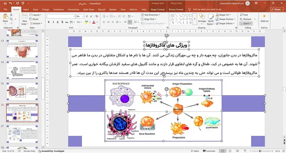 macrophage-powerpoint-02 پاورپوینت ماکروفاژ