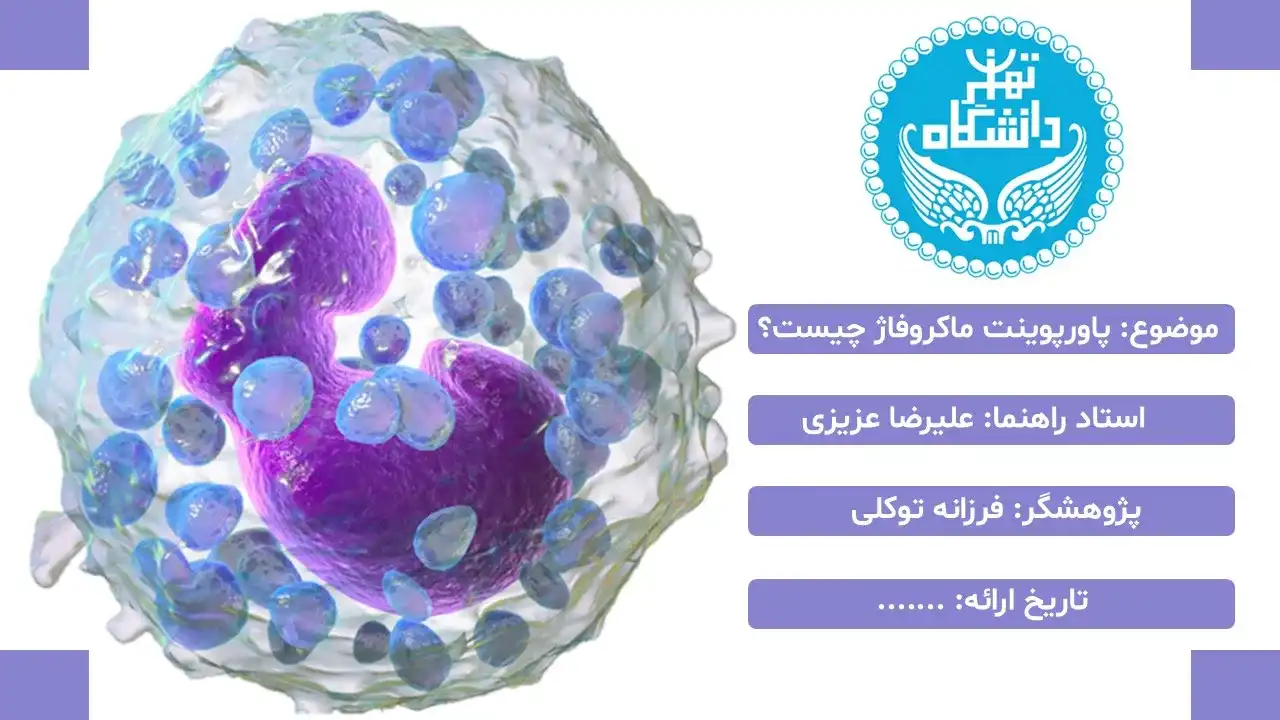 macrophage-powerpoint-03 پاورپوینت ماکروفاژ