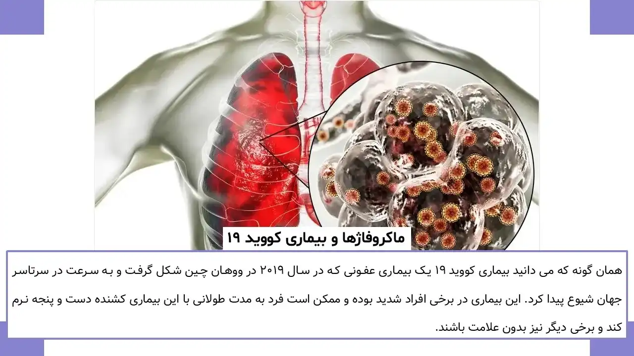 macrophage-powerpoint-07 پاورپوینت ماکروفاژ