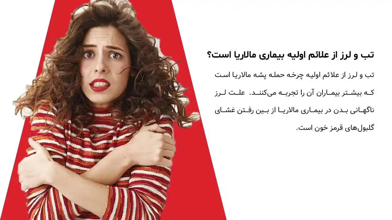 پاورپوینت بیماری مالاریا