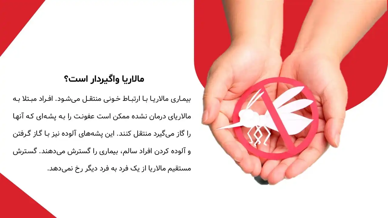 پاورپوینت بیماری مالاریا