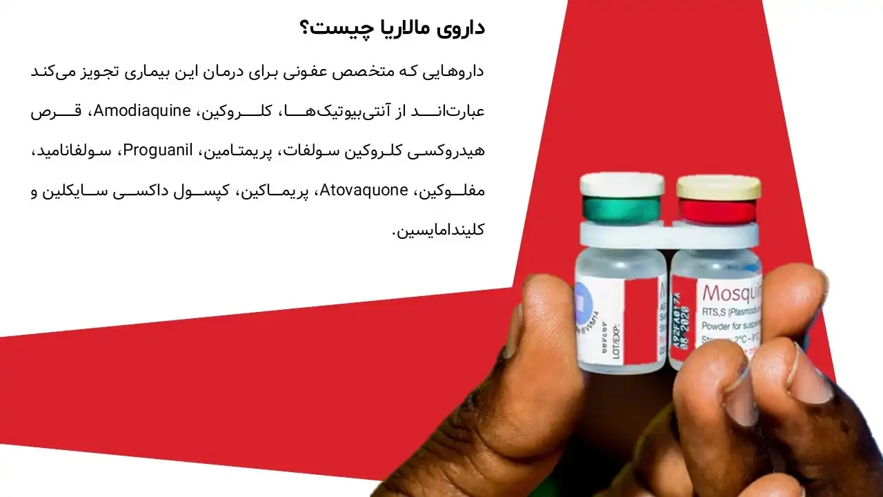 پاورپوینت بیماری مالاریا