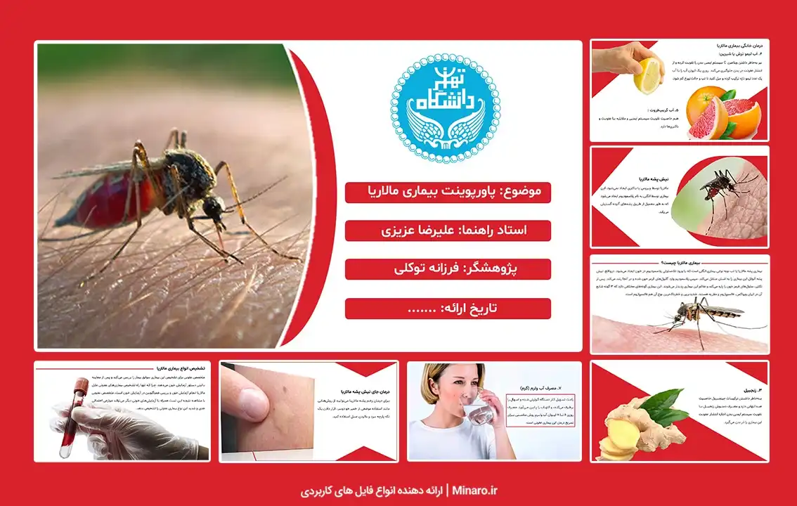 پاورپوینت بیماری مالاریا