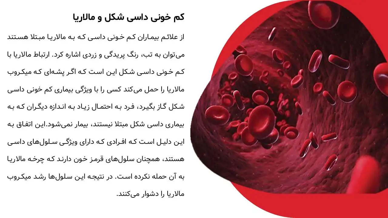 پاورپوینت بیماری مالاریا
