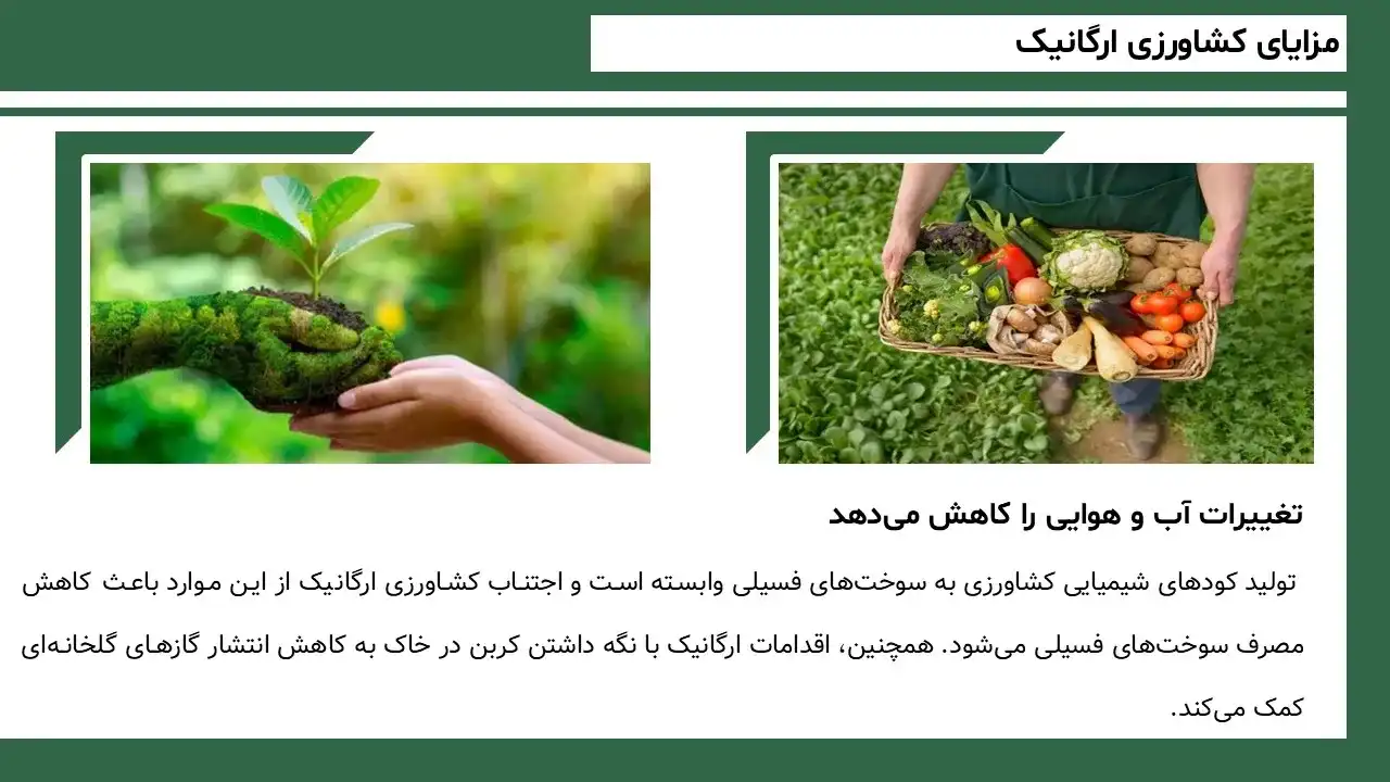 پاورپوینت کشاورزی ارگانیک