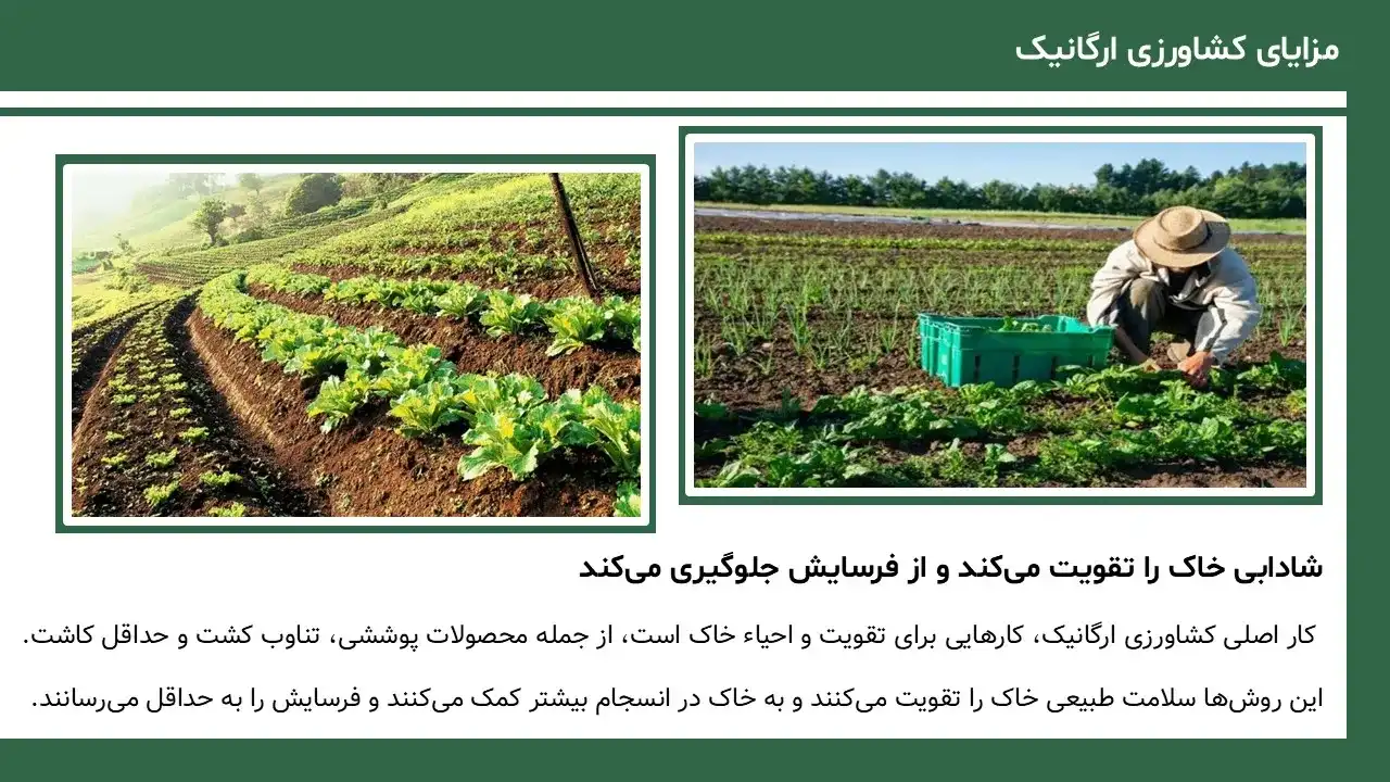 پاورپوینت کشاورزی ارگانیک