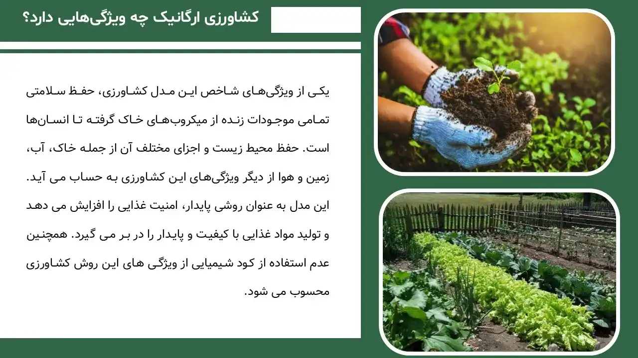پاورپوینت کشاورزی ارگانیک
