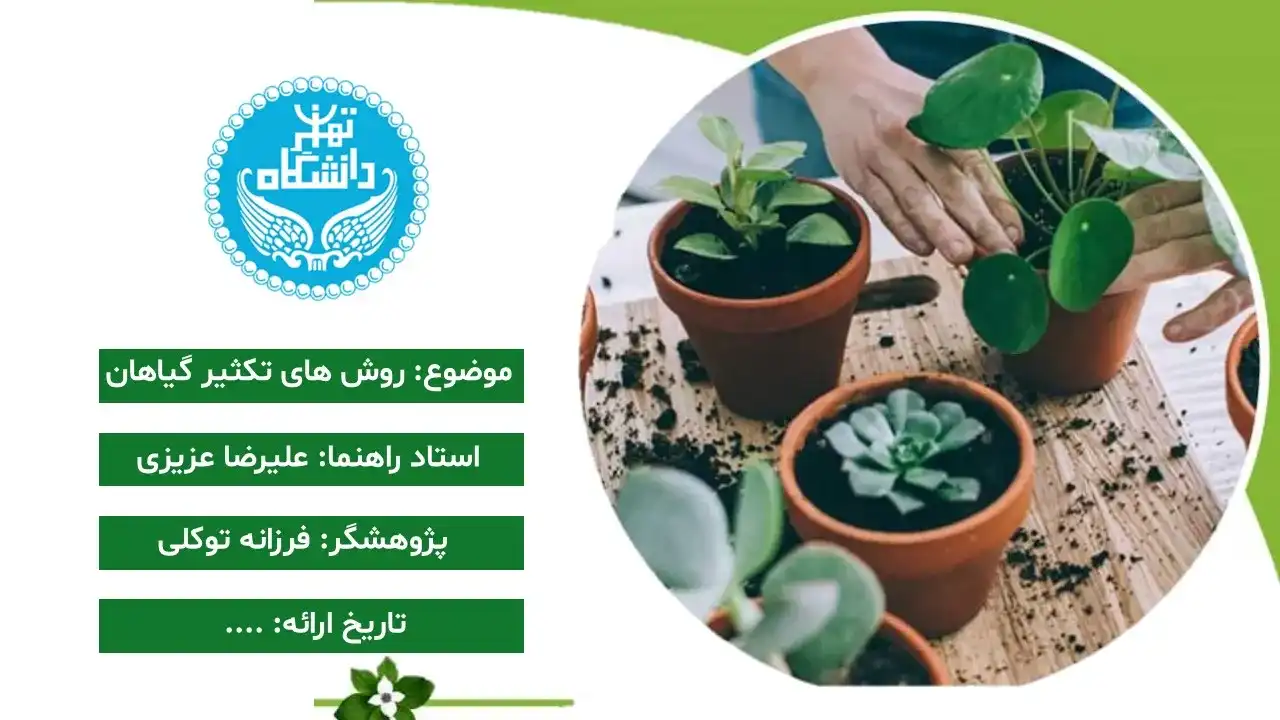 پاورپوینت روش های تکثیر گیاهان