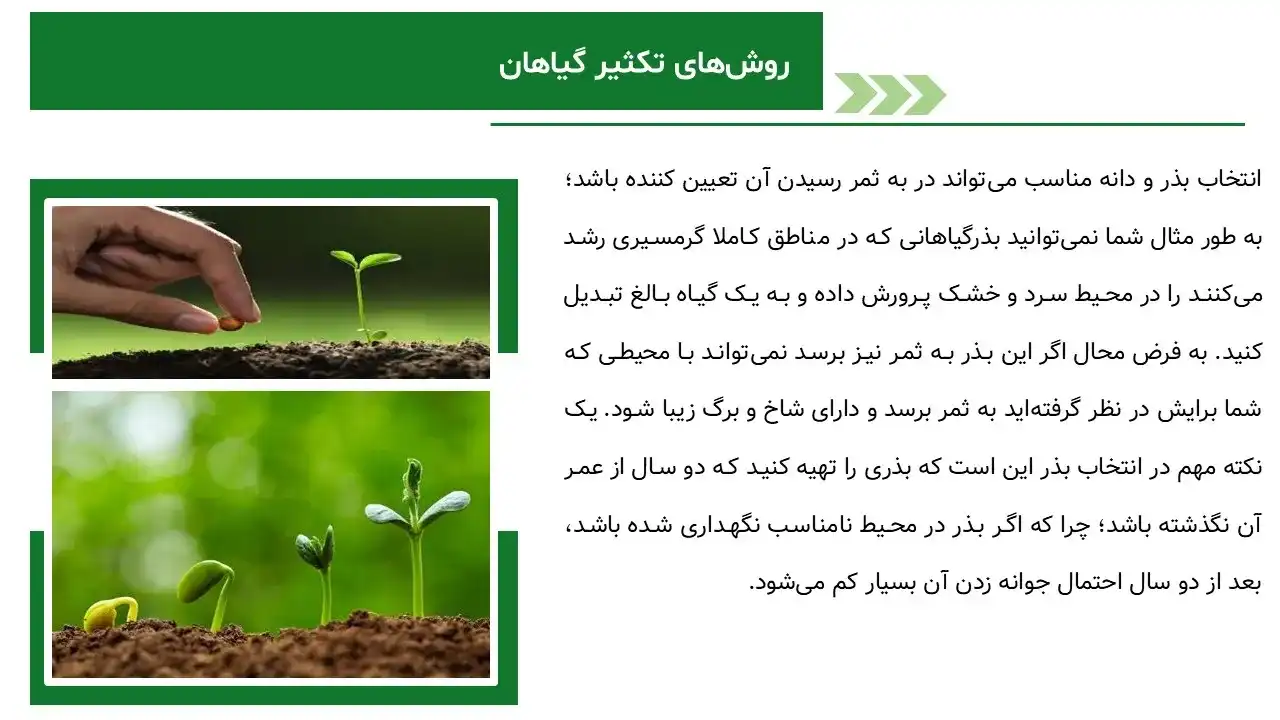 پاورپوینت روش های تکثیر گیاهان