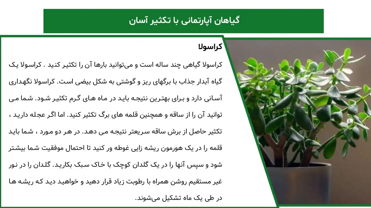 پاورپوینت روش های تکثیر گیاهان