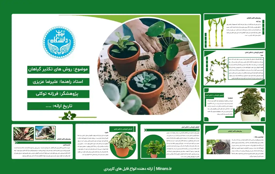 پاورپوینت روش های تکثیر گیاهان