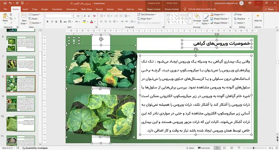 پاورپوینت ویروس های گیاهی