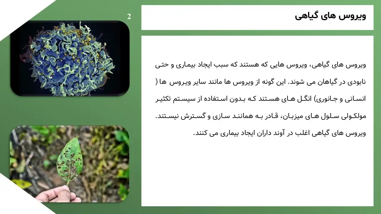 پاورپوینت ویروس های گیاهی